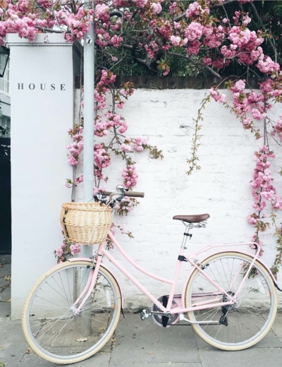 Grid Gallery Post Type