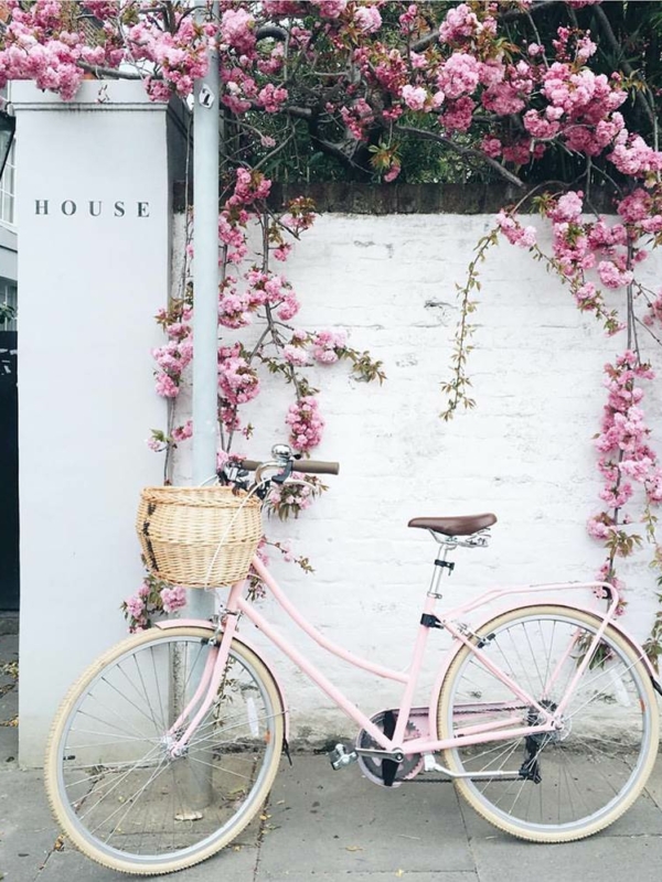 Grid Gallery Post Type